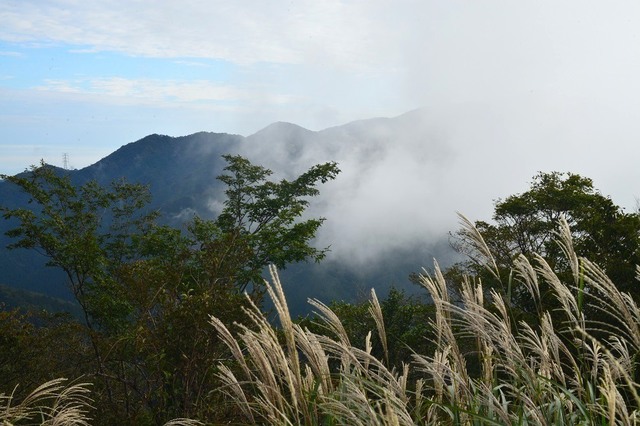 DSC_0007.JPG