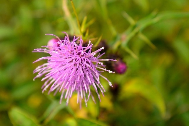 DSC_0014.JPG