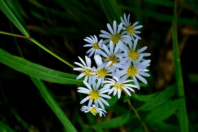 DSC_0022.JPG