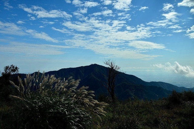 DSC_0042.JPG