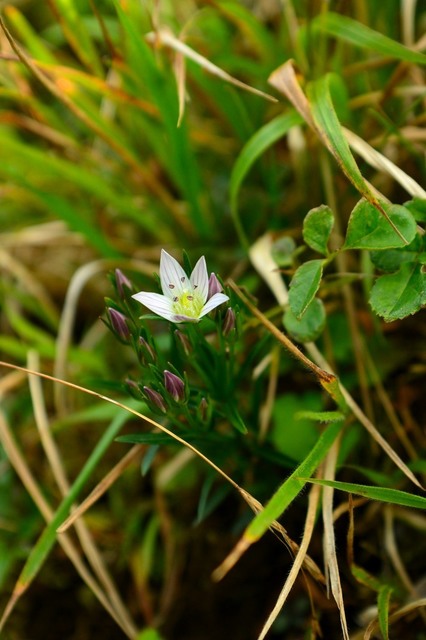 DSC_0055.JPG