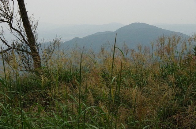 IMGP4483.JPG