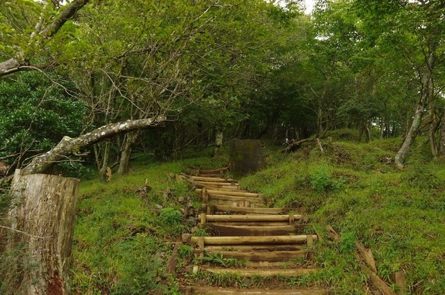 IMGP4496.JPG
