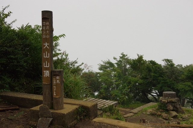 IMGP4507.JPG