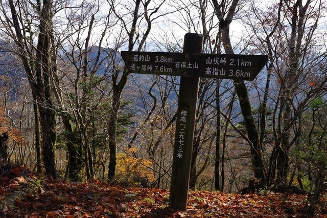 IMGP4631.JPG